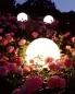 Preview: Moonlight leuchtkugeln für Garten oder Haus, copyright by Moonlight