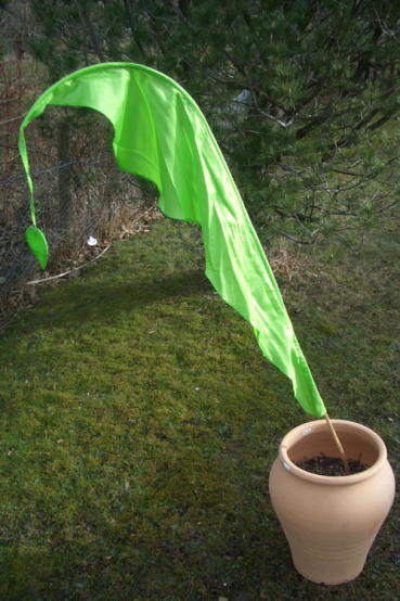 Preview: Bananenblatt - Gartenfahne | L. 3,50 m | Satin Preview: Bananenblatt - Gartenfahne | L. 3,50 m | Satin