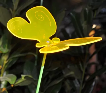 Schmetterling - Sonnenfänger - Licht und Laune® | 40 cm