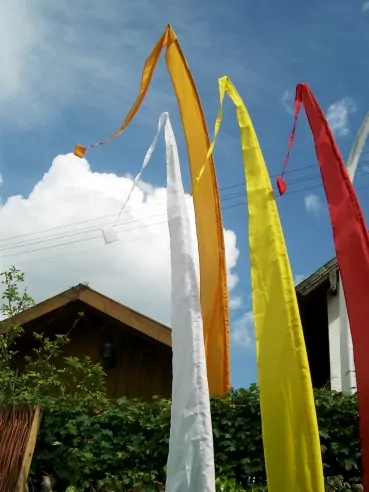 Uni Gartenfahne Baliflagge