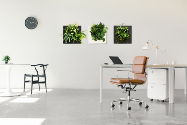 LivePicturego-bamboo-black-and-natural LivePicturego-bamboo-black-and-natural