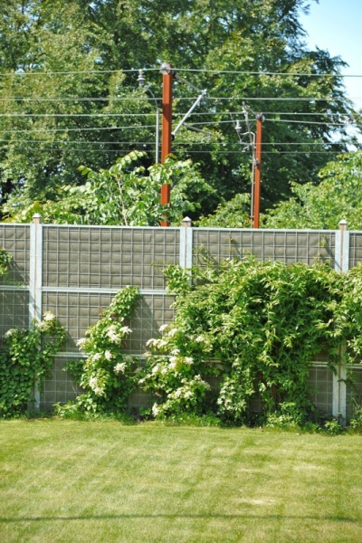 Berankte Lärmschutzwand mit Blumen Berankte Lärmschutzwand mit Blumen