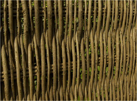 Sichtschutz aus Robinie