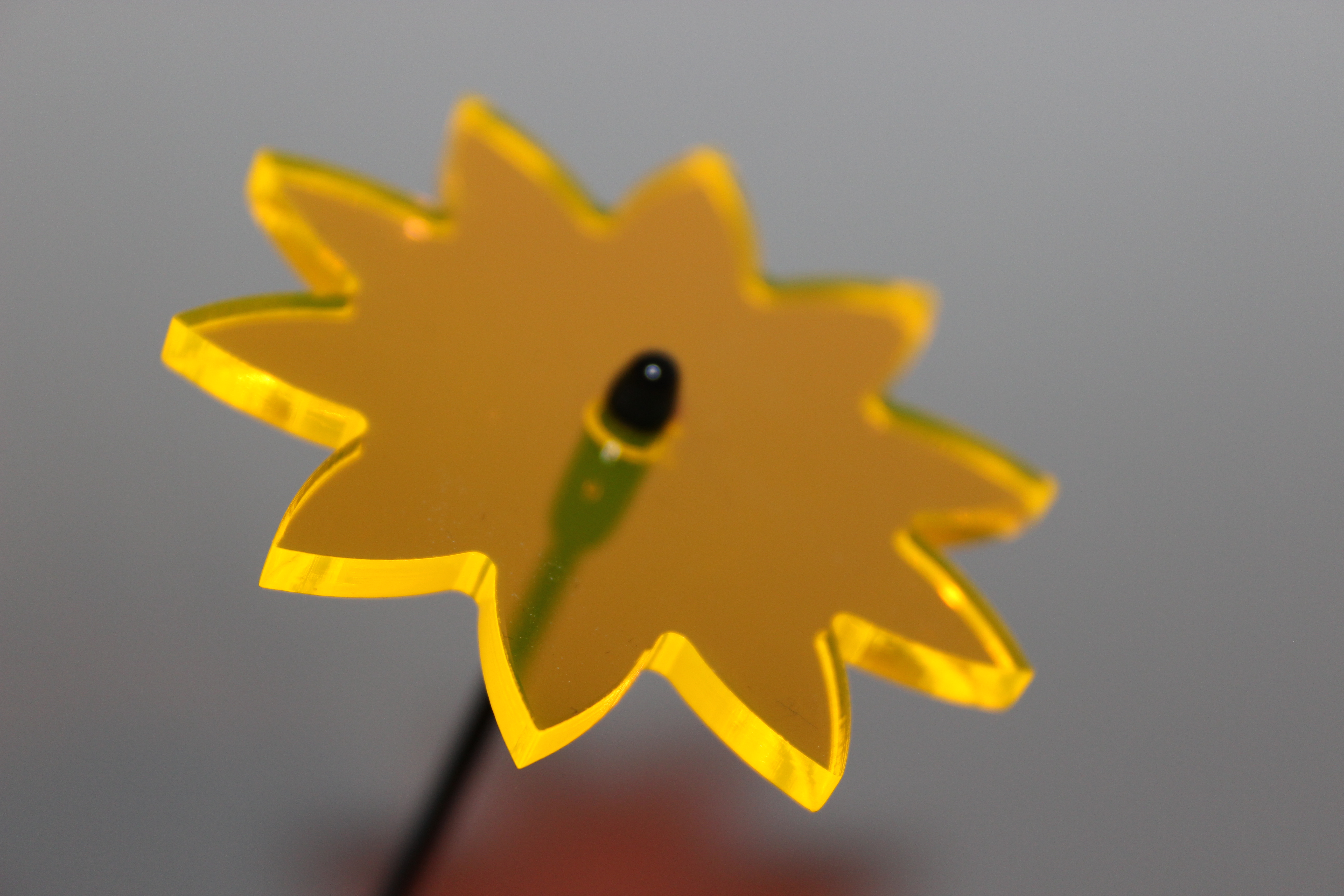 LiLau® Minis - Sonnenblume