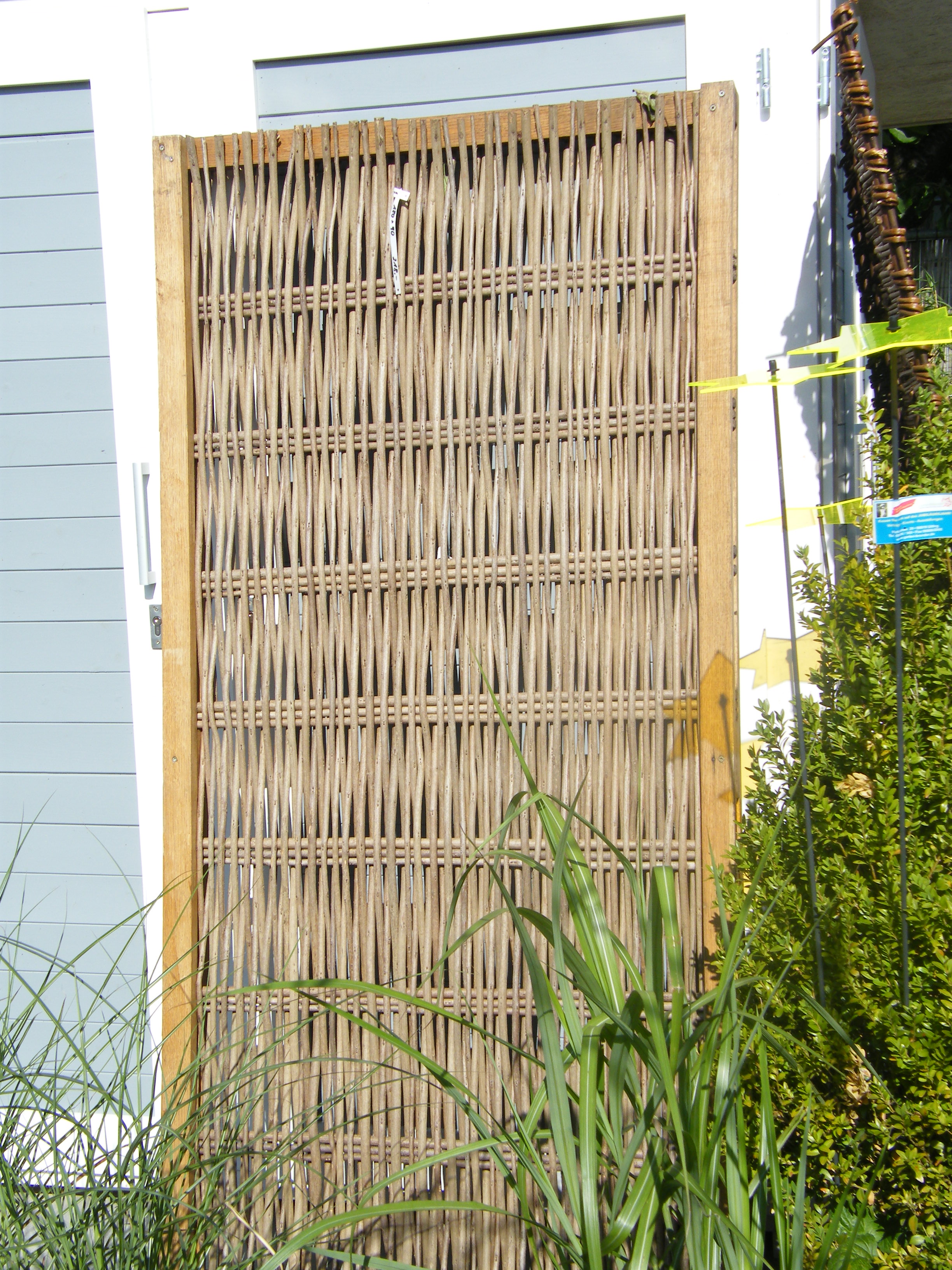 Robinie im Eichenrahmen | 180 x 120 cm