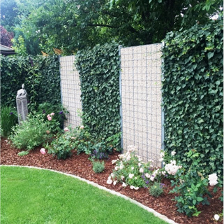 Fertighecke und Begrünung