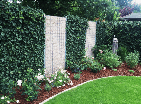 Hecken Elemente - Mobilane Fertighecke®