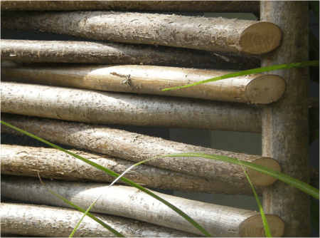 Sichtschutz aus Haselnuss