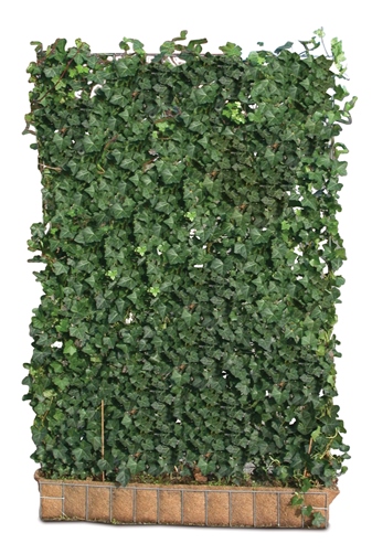 Efeu-Element | 180 x 120 cm 