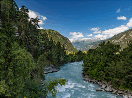 Wellness- & Naturprodukte