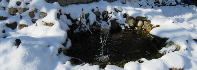 So machen Sie Ihren Teich winterfest Garten Bronder Ratgeber