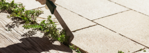 Unkrautentfernung. Wir entfernen Pflastersteine im Garten. Die menschliche Hand entfernt Unkraut.