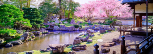 Japanischer alter Garten mit Kirschblütensakurabäumen