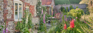 English Country Garden mit Cottage Gartenpflanzen im Sommer und einer flinsen Wand.