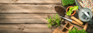 Gartenwerkzeuge, Samen und Boden auf Holztisch.