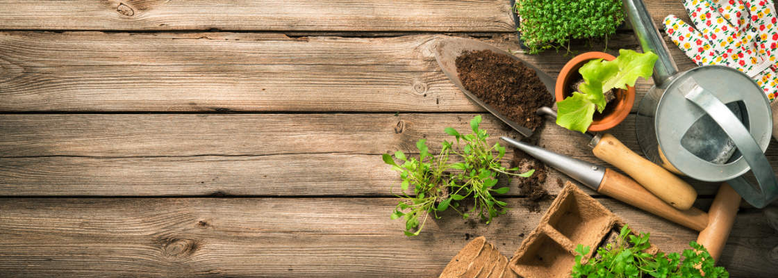 Gartenwerkzeuge, Samen und Boden auf Holztisch.