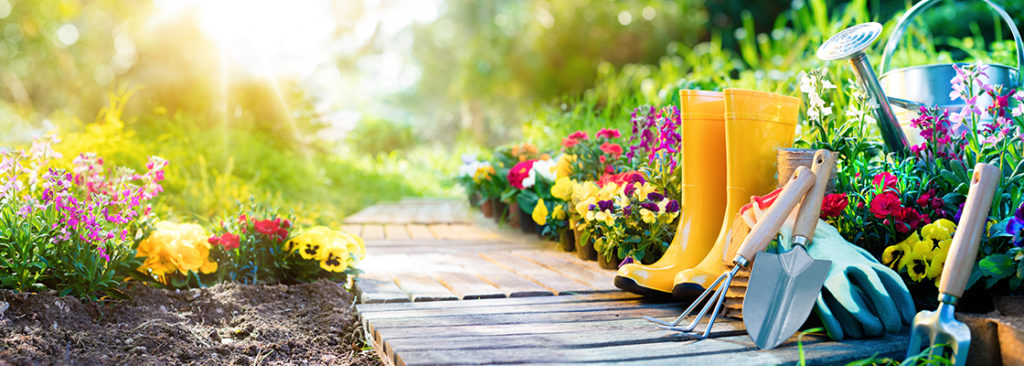 Jahreszeiten im Garten