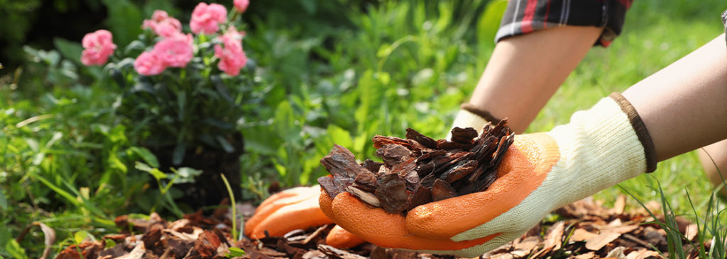 © New Africa/Shutterstock.com Gärtnern im Klimawandel - Wie Sie Ihren Garten an neue Klimabedingungen anpassen