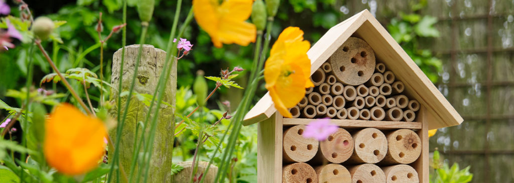 © Harry Wedzinga/Shutterstock.com Insektengarten anlegen - So schaffen Sie nützlichen Lebensraum für Insekten in Ihrem Garten