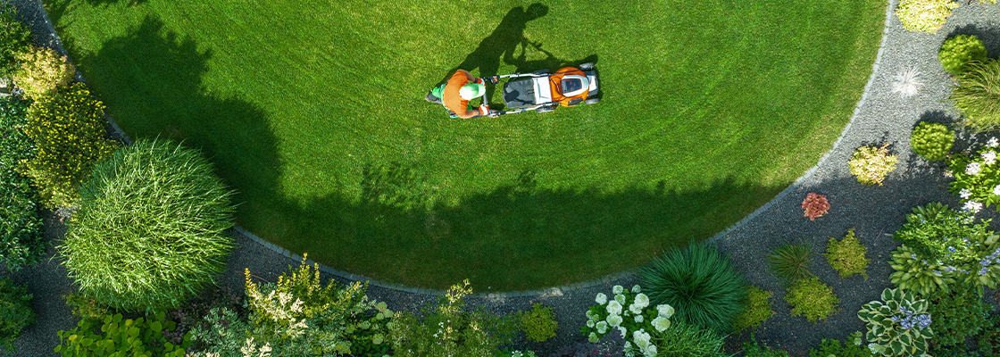 Fehler bei der Gartenpflege im Sommer - Was Sie in den warmen Monaten vermeiden sollten