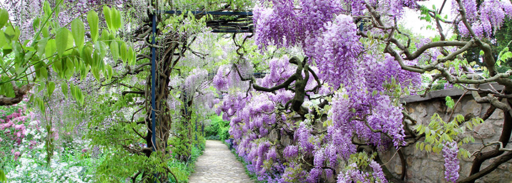 © Whatafoto/Shutterstock.com Durchgänge und Torbögen im Garten - So gestalten Sie damit Räume und setzen optische Grenzen