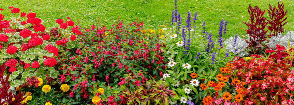 © nnattalli/Shutterstock.com Immer blühender Garten mit den passenden Pflanzen - So blüht Ihr Garten das ganze Jahr