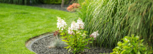 So wirkt ein kleiner Garten größer - Optische Tipps zur Gartengestaltung
