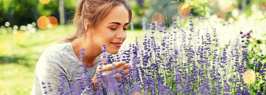 © Ground Picture/Shutterstock.com Duftgarten gestalten - So wird Ihr Garten zur duftenden Blumenoase