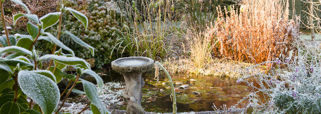 Struktur im Wintergarten - Pflanzen und Materialien, die auch in der kalten Jahreszeit wirken