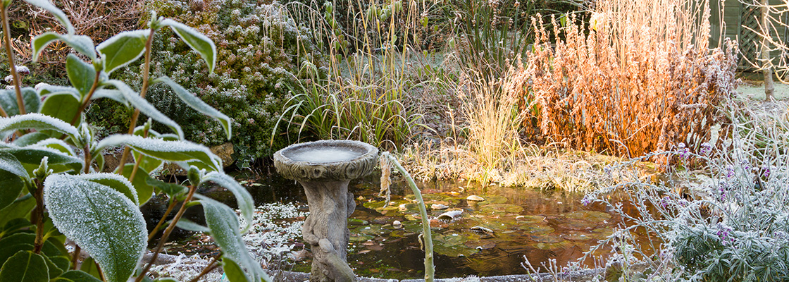 Struktur im Wintergarten - Pflanzen und Materialien, die auch in der kalten Jahreszeit wirken