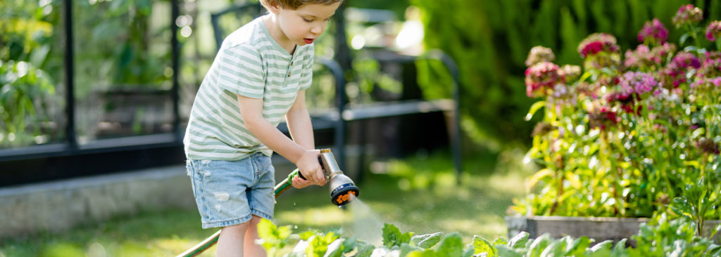 Regenerative Beete - wie Pflanzenkombinationen sich gegenseitig stärken