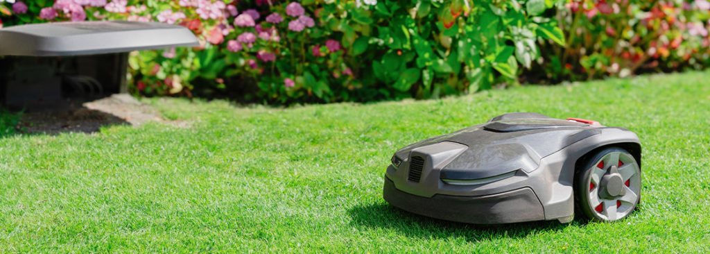 Zukunftsgärten - Wie KI und smarte Technik die Gartenpflege nachhaltig verändern werden