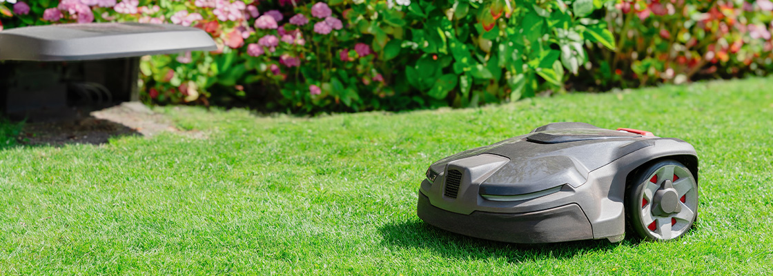 Zukunftsgärten - Wie KI und smarte Technik die Gartenpflege nachhaltig verändern werden