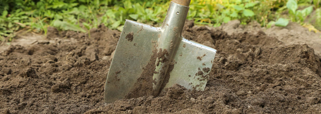 So verbessern Sie Ihren Gartenboden – Schritt für Schritt