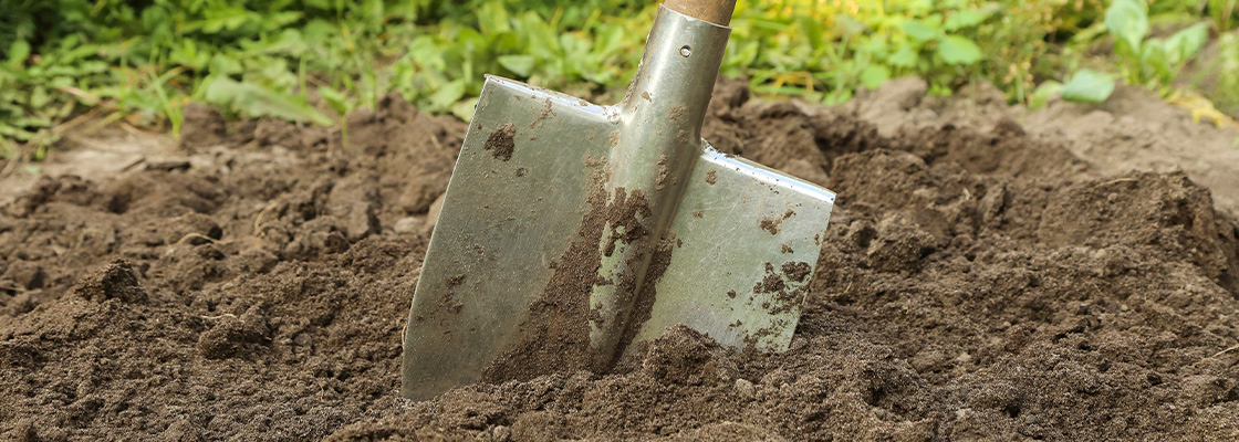 So verbessern Sie Ihren Gartenboden – Schritt für Schritt