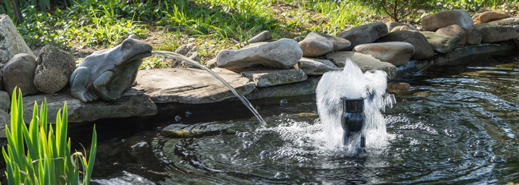 Teich, Bachlauf & Wasserspiel – Anlage und Pflege leicht gemacht