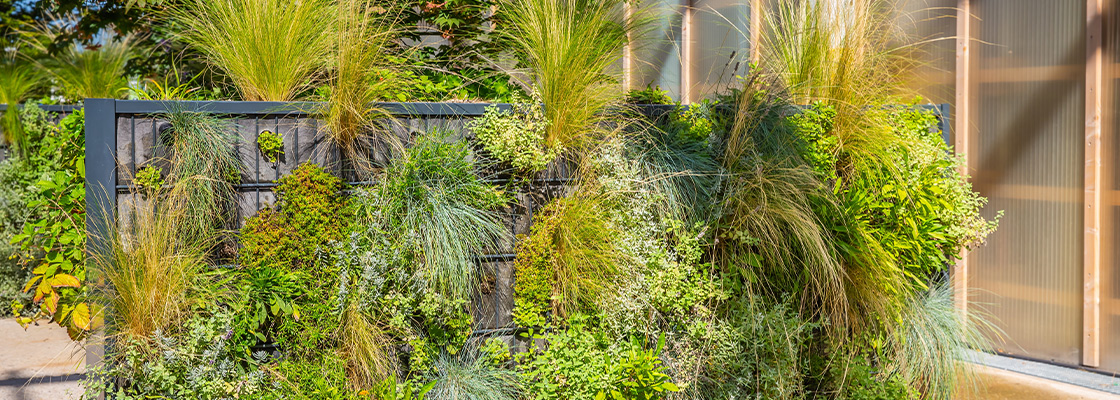 Vertikale Gärten und Pflanzwände anlegen – grüne Wände für jeden Garten