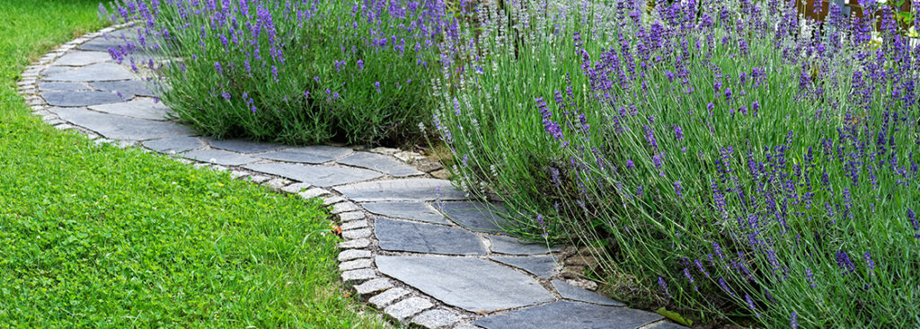 © Tilen Josar/Shutterstock.com Gartenwege & Natursteinpfade – anlegen, gestalten und pflegen