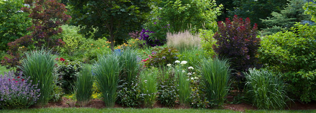 Der Schwammgarten – Regenwasser clever nutzen und den Garten klimaresilient gestalten