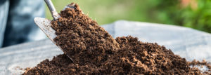 Gartenerde richtig verbessern: So wird der Boden fruchtbar und pflanzenfreundlich