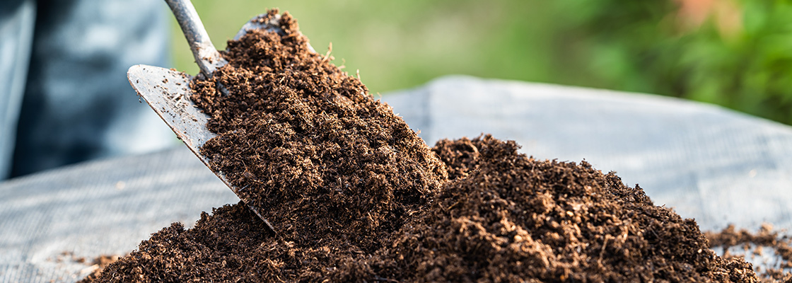 Gartenerde richtig verbessern: So wird der Boden fruchtbar und pflanzenfreundlich