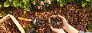 Gartenmulch richtig einsetzen: Vorteile, Materialien und Anwendung im Garten