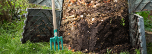 Kompost richtig anlegen: So entsteht natürlicher Dünger für den Garten