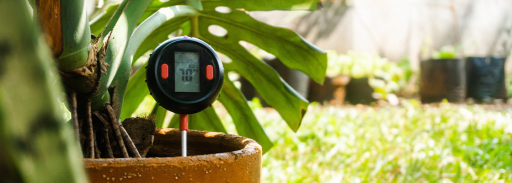 © m.dipo/Shutterstock.com Boden pH-Wert testen und anpassen: So gelingt die optimale Grundlage für gesunde Pflanzen